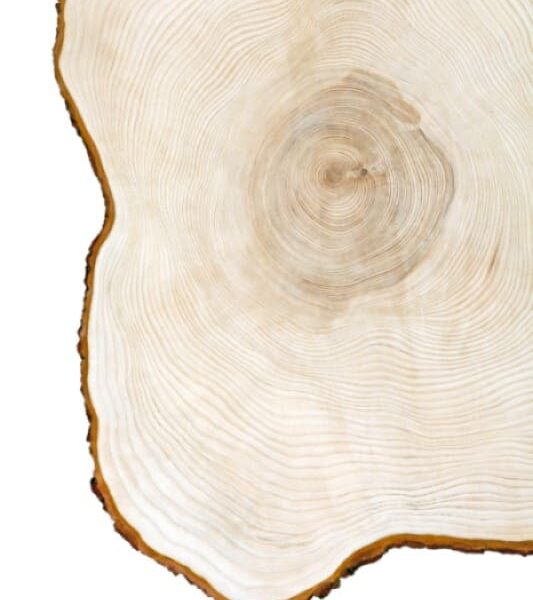 l'entreprise l'établi créatif, nous parle de sa passion pour le bois et la création d'objets artisanaux.